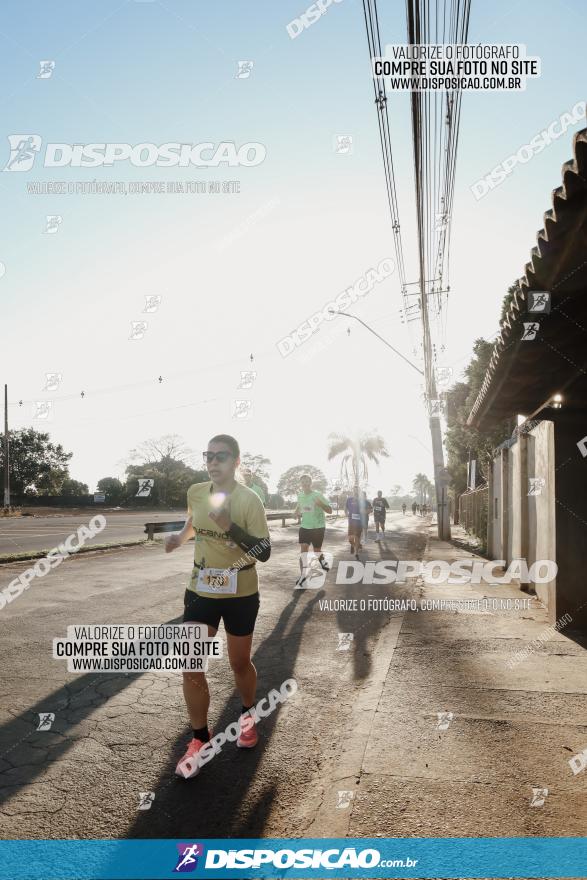 APAE Day Run Rolândia 2023