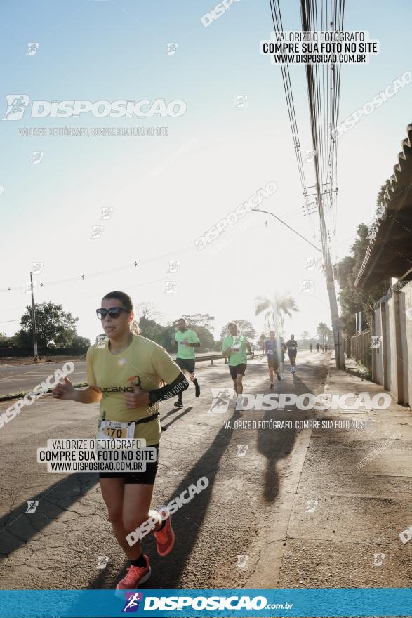 APAE Day Run Rolândia 2023