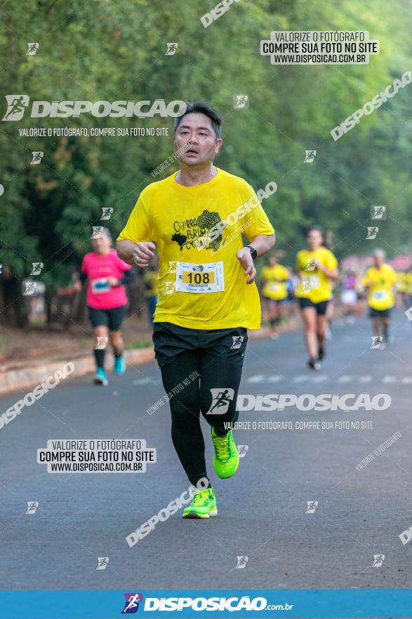 (amp) RUN 2023