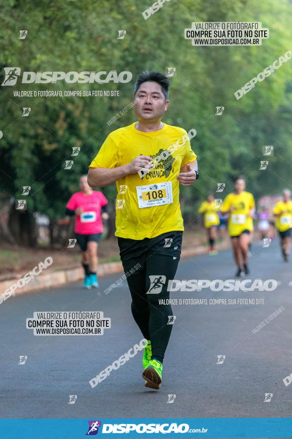 (amp) RUN 2023