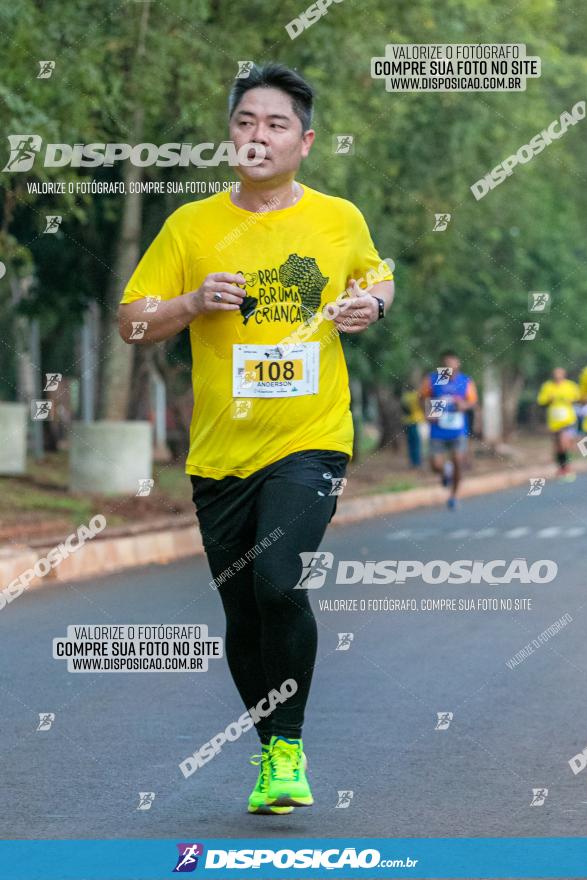 (amp) RUN 2023