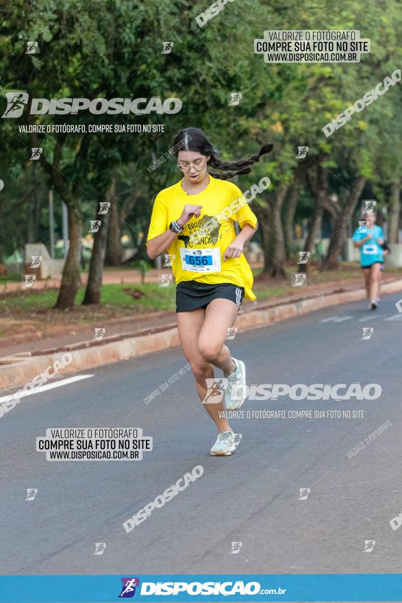 (amp) RUN 2023