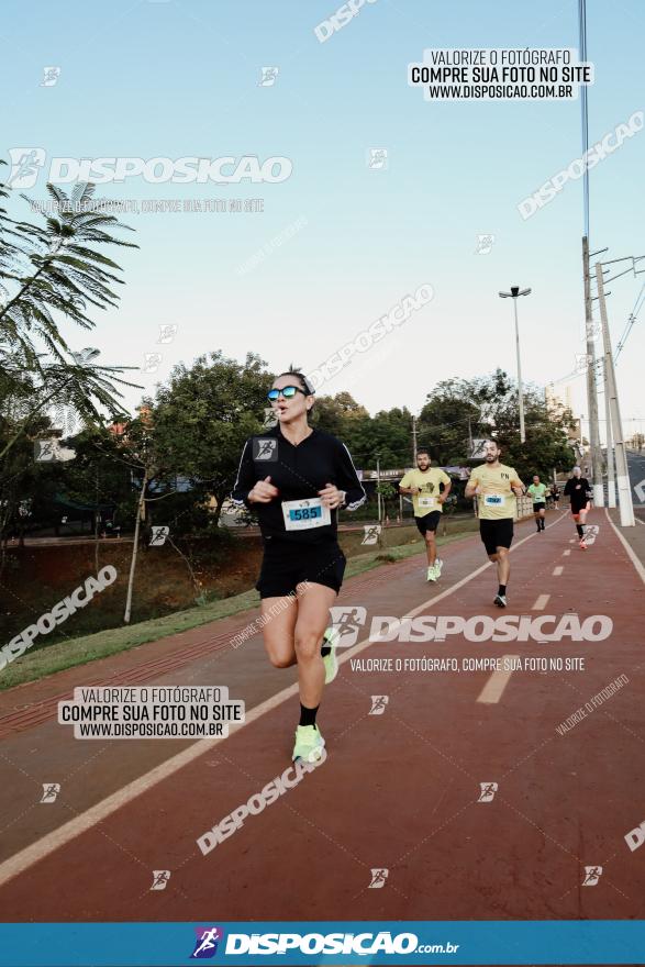 (amp) RUN 2023