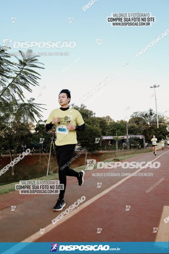 (amp) RUN 2023