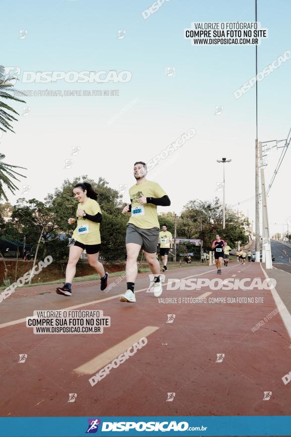 (amp) RUN 2023