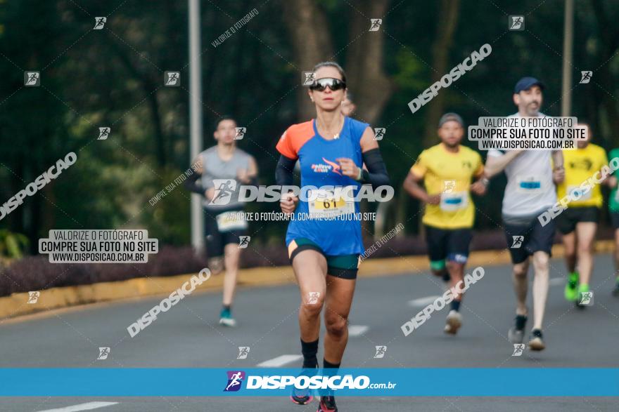 (amp) RUN 2023