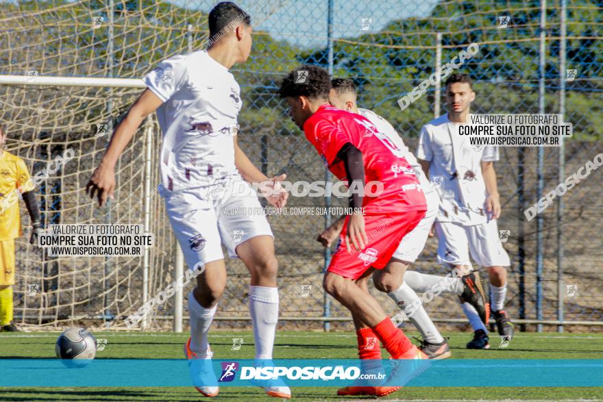 Copa Land View e Superliga BigBol