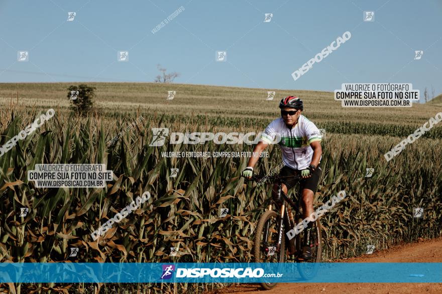 CIRCUITO IBIPORÃ DE MTB - Volta das Capelas 2023