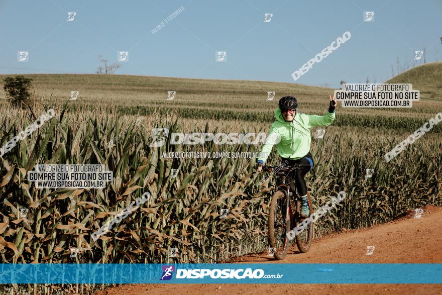 CIRCUITO IBIPORÃ DE MTB - Volta das Capelas 2023