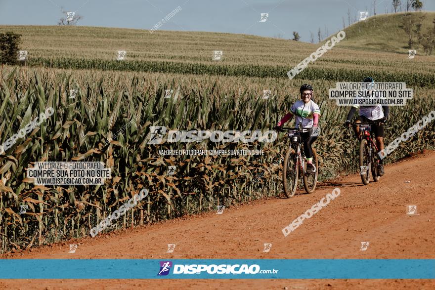 CIRCUITO IBIPORÃ DE MTB - Volta das Capelas 2023