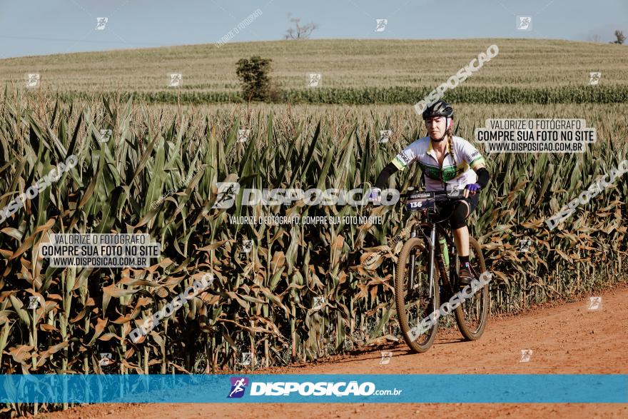 CIRCUITO IBIPORÃ DE MTB - Volta das Capelas 2023