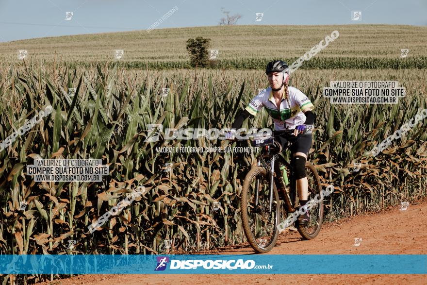 CIRCUITO IBIPORÃ DE MTB - Volta das Capelas 2023