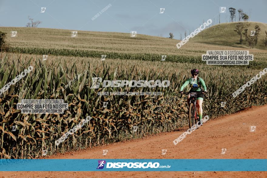 CIRCUITO IBIPORÃ DE MTB - Volta das Capelas 2023