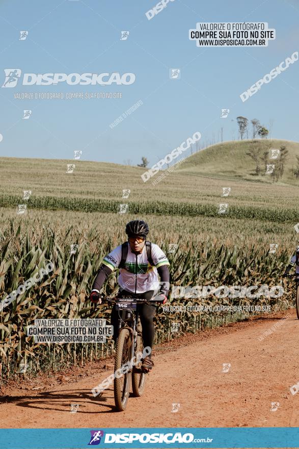 CIRCUITO IBIPORÃ DE MTB - Volta das Capelas 2023