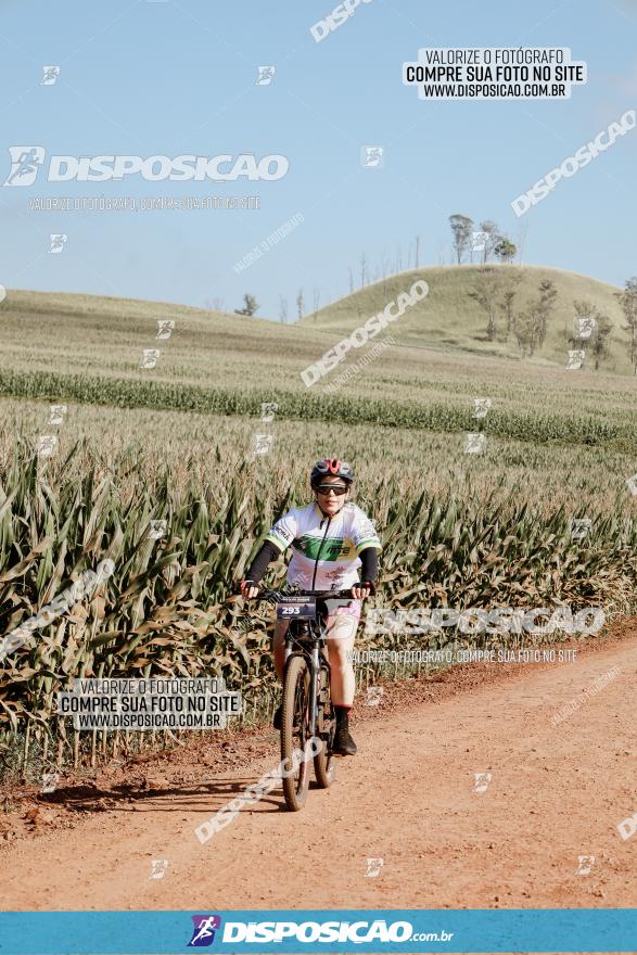 CIRCUITO IBIPORÃ DE MTB - Volta das Capelas 2023