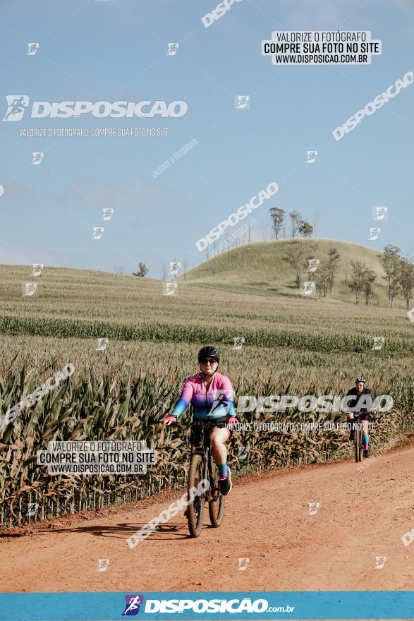 CIRCUITO IBIPORÃ DE MTB - Volta das Capelas 2023