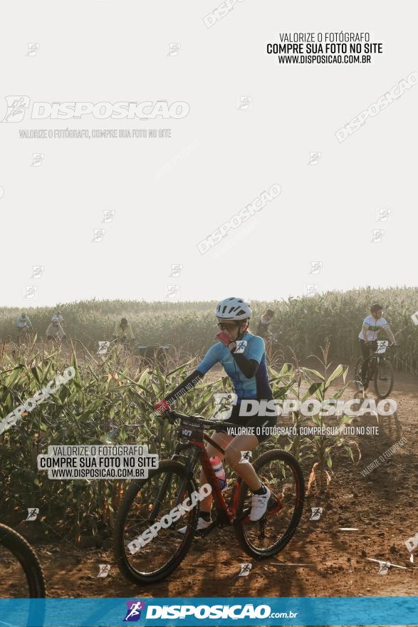 CIRCUITO IBIPORÃ DE MTB - Volta das Capelas 2023