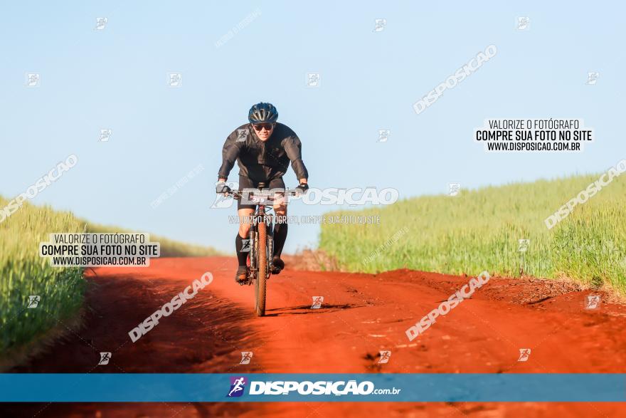 CIRCUITO IBIPORÃ DE MTB - Volta das Capelas 2023