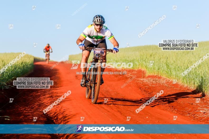 CIRCUITO IBIPORÃ DE MTB - Volta das Capelas 2023