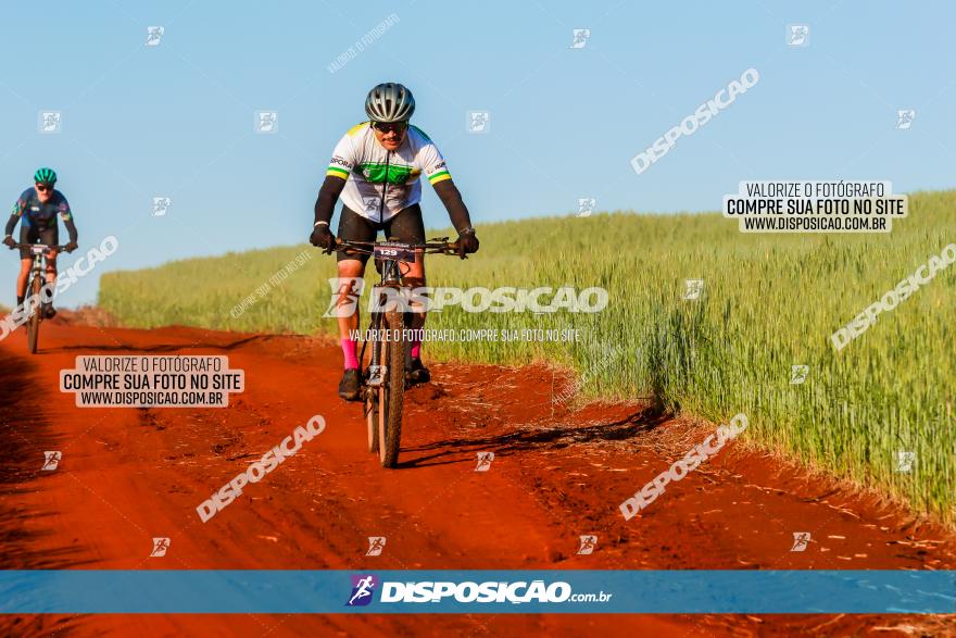 CIRCUITO IBIPORÃ DE MTB - Volta das Capelas 2023