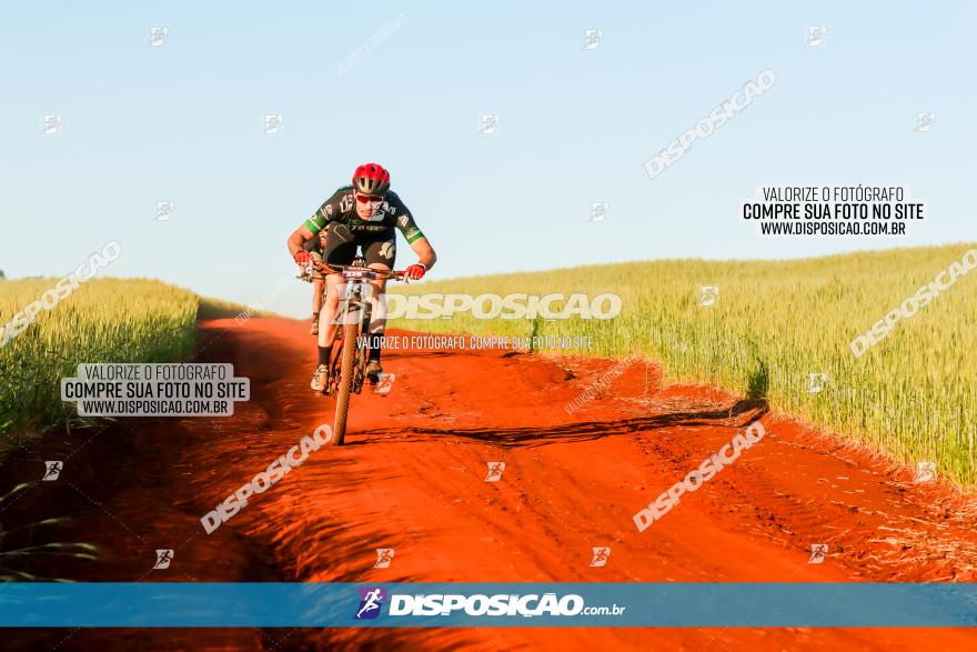 CIRCUITO IBIPORÃ DE MTB - Volta das Capelas 2023