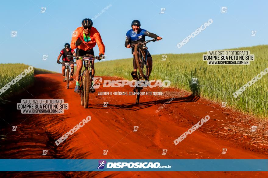 CIRCUITO IBIPORÃ DE MTB - Volta das Capelas 2023