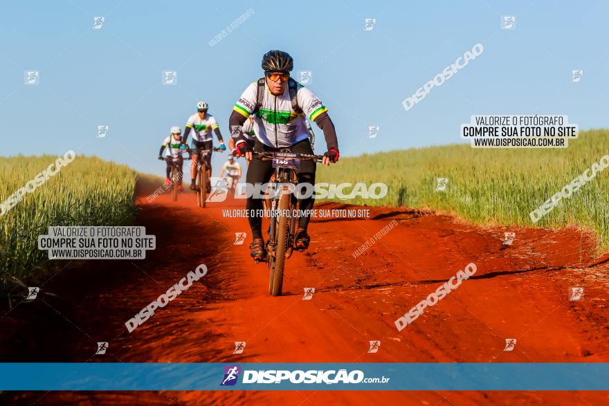 CIRCUITO IBIPORÃ DE MTB - Volta das Capelas 2023