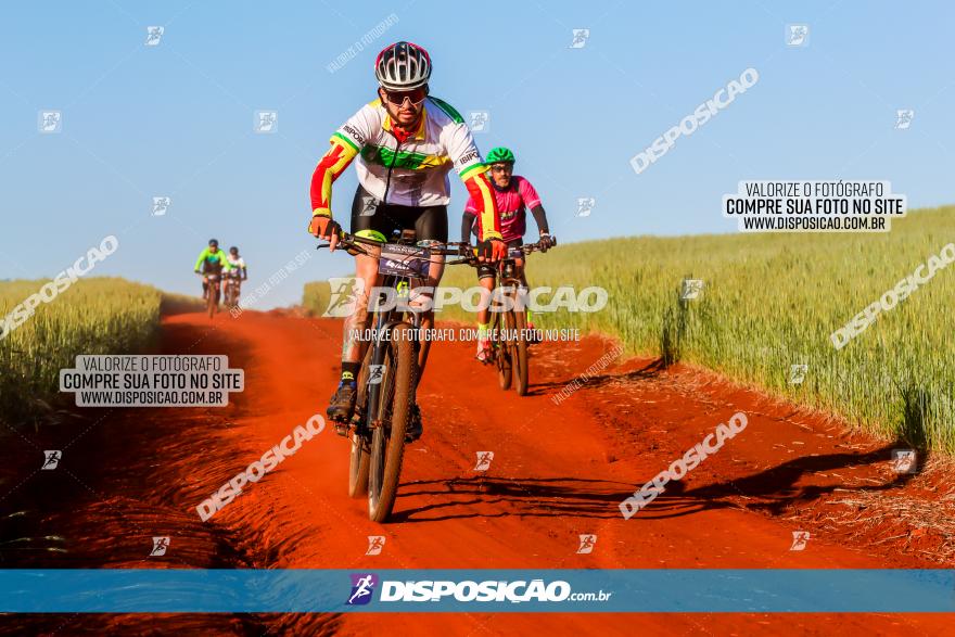 CIRCUITO IBIPORÃ DE MTB - Volta das Capelas 2023