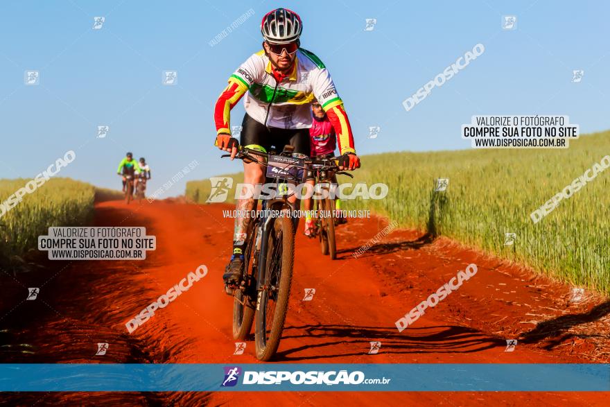 CIRCUITO IBIPORÃ DE MTB - Volta das Capelas 2023