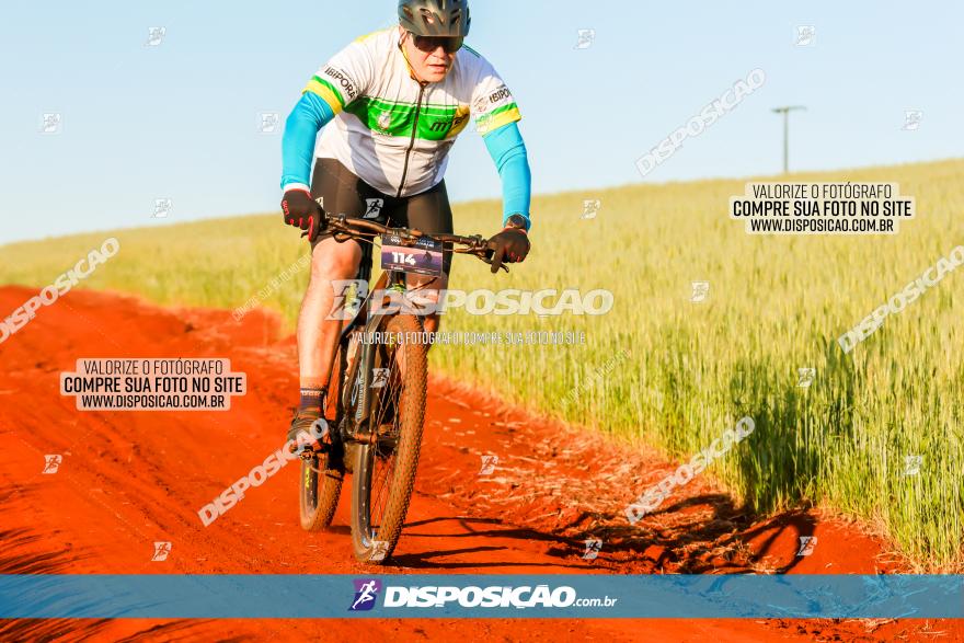 CIRCUITO IBIPORÃ DE MTB - Volta das Capelas 2023