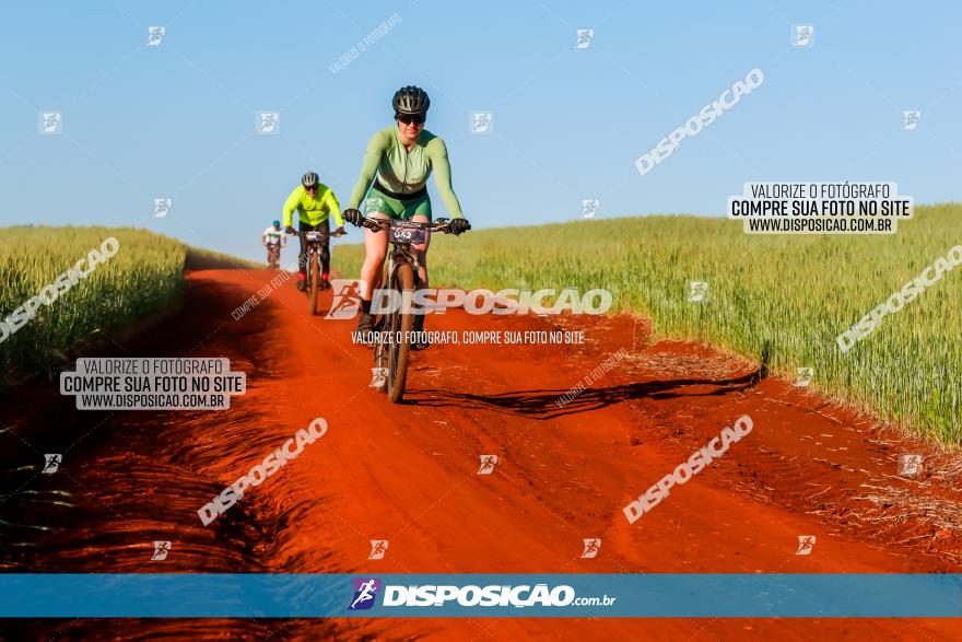 CIRCUITO IBIPORÃ DE MTB - Volta das Capelas 2023