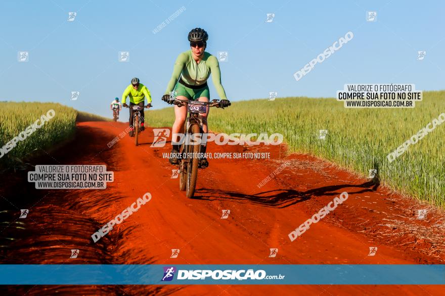 CIRCUITO IBIPORÃ DE MTB - Volta das Capelas 2023