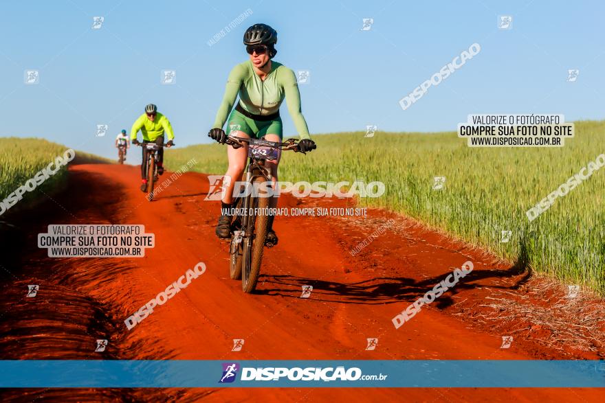 CIRCUITO IBIPORÃ DE MTB - Volta das Capelas 2023