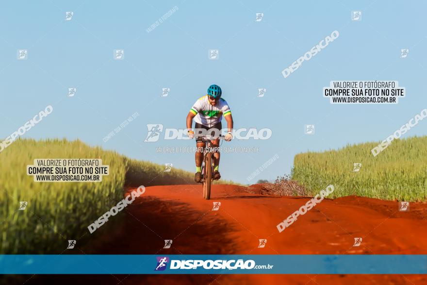 CIRCUITO IBIPORÃ DE MTB - Volta das Capelas 2023