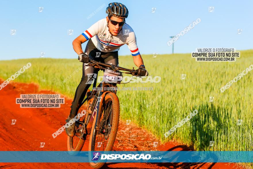 CIRCUITO IBIPORÃ DE MTB - Volta das Capelas 2023