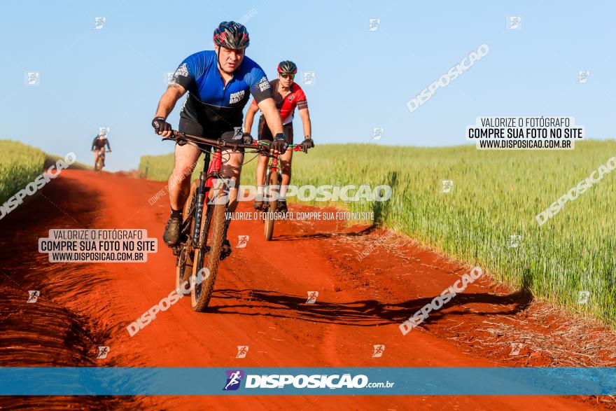 CIRCUITO IBIPORÃ DE MTB - Volta das Capelas 2023