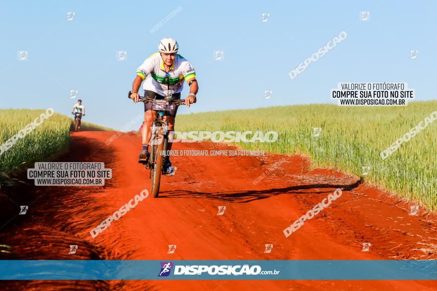 CIRCUITO IBIPORÃ DE MTB - Volta das Capelas 2023