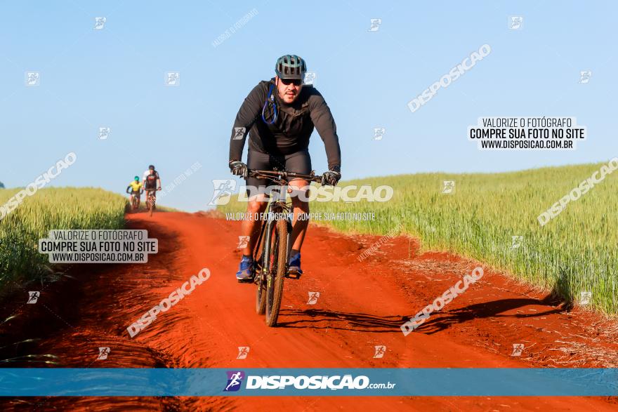 CIRCUITO IBIPORÃ DE MTB - Volta das Capelas 2023