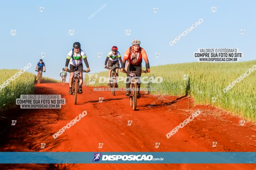 CIRCUITO IBIPORÃ DE MTB - Volta das Capelas 2023