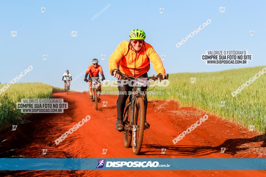 CIRCUITO IBIPORÃ DE MTB - Volta das Capelas 2023