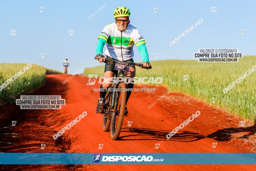 CIRCUITO IBIPORÃ DE MTB - Volta das Capelas 2023