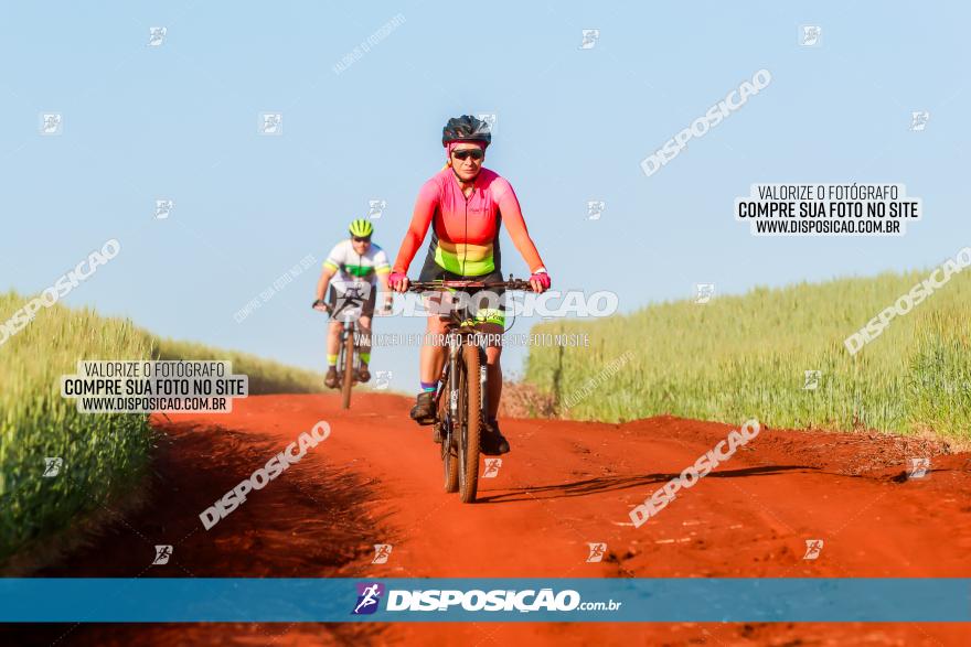 CIRCUITO IBIPORÃ DE MTB - Volta das Capelas 2023