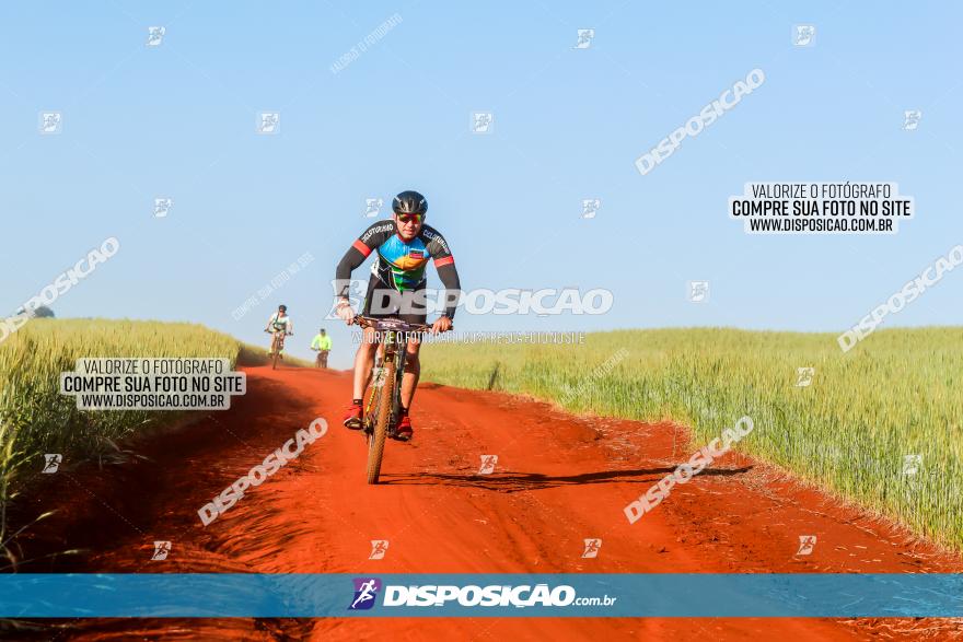 CIRCUITO IBIPORÃ DE MTB - Volta das Capelas 2023