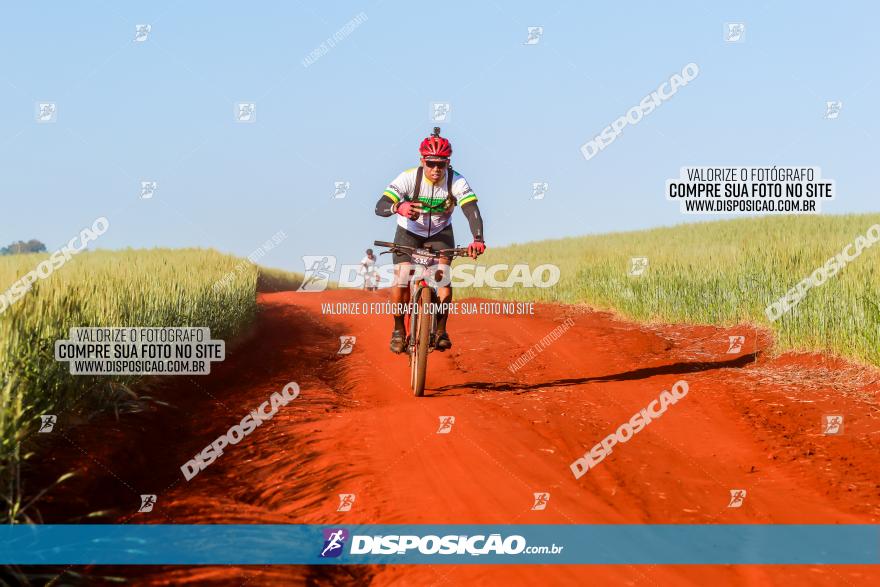 CIRCUITO IBIPORÃ DE MTB - Volta das Capelas 2023