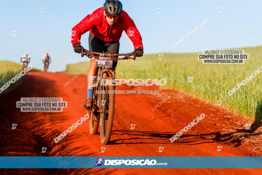 CIRCUITO IBIPORÃ DE MTB - Volta das Capelas 2023