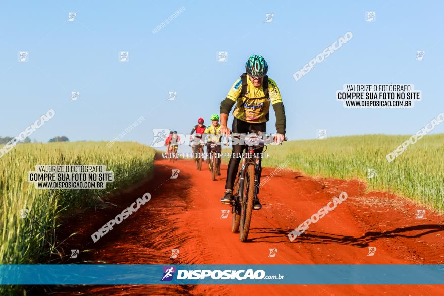 CIRCUITO IBIPORÃ DE MTB - Volta das Capelas 2023