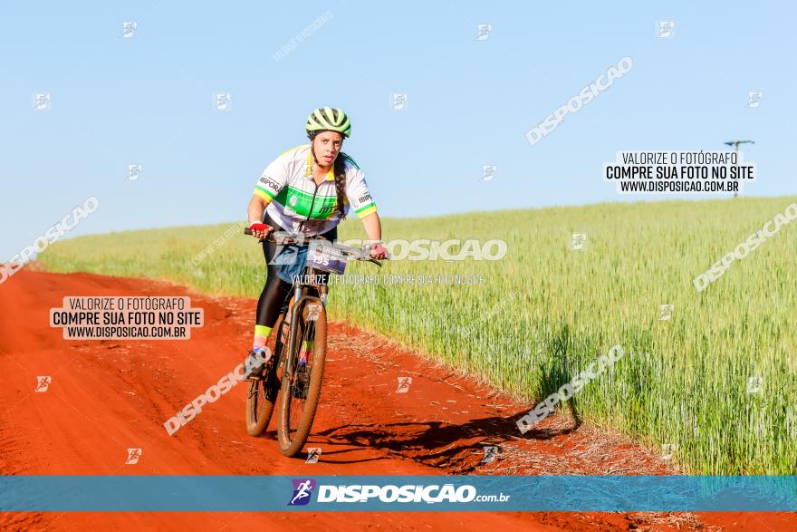 CIRCUITO IBIPORÃ DE MTB - Volta das Capelas 2023