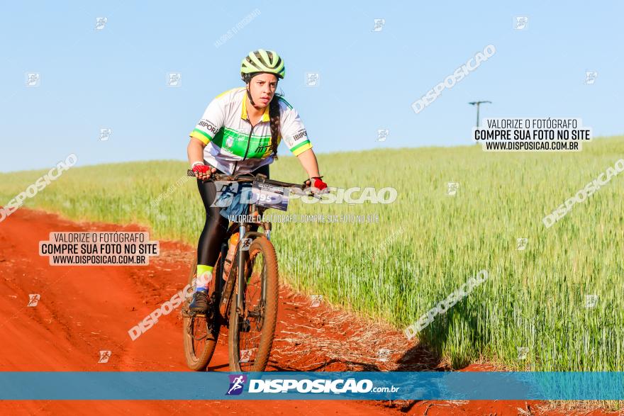 CIRCUITO IBIPORÃ DE MTB - Volta das Capelas 2023