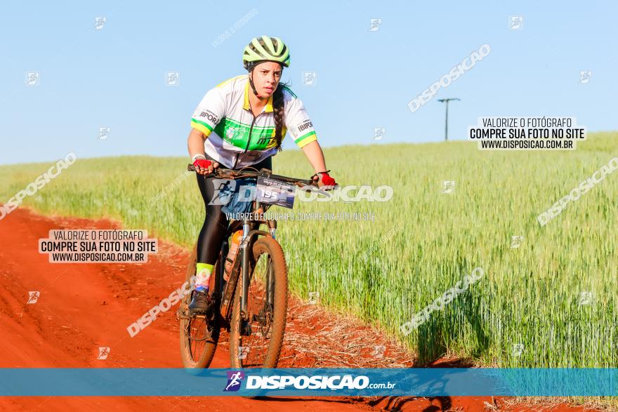 CIRCUITO IBIPORÃ DE MTB - Volta das Capelas 2023