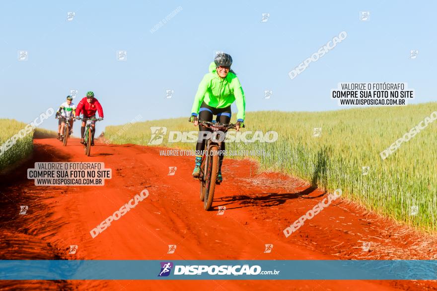 CIRCUITO IBIPORÃ DE MTB - Volta das Capelas 2023